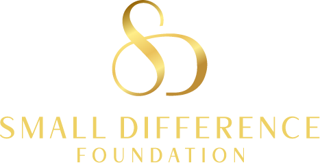 Small Difference Foundation